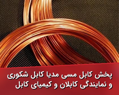 پخش کابل مسی مدیا کابل شکوری و نمایندگی کابلان و کیمیای کابل کرمان