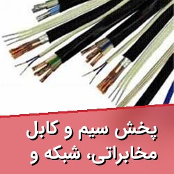 پخش سیم و کابل مخابراتی، شبکه و فیبر نوری